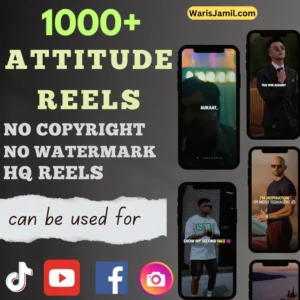 Attitude Reels Bundle